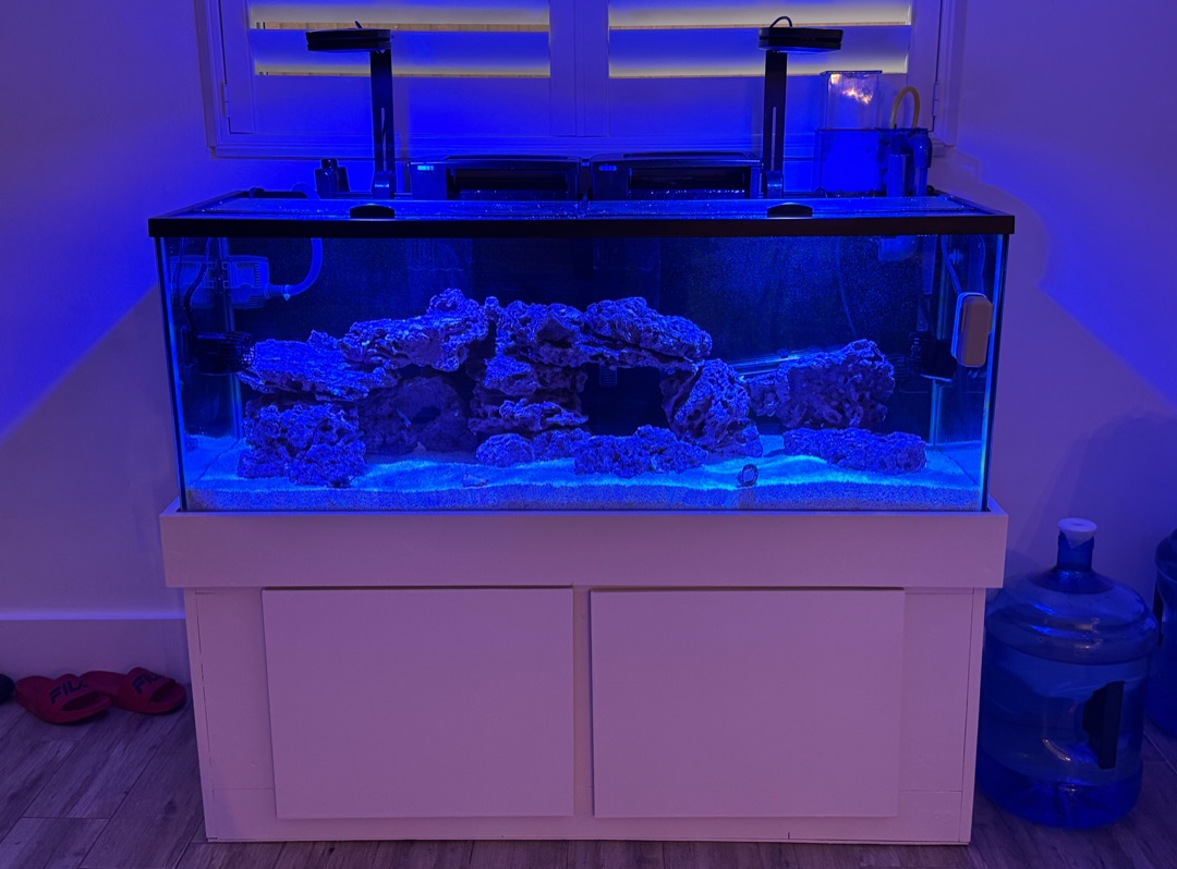 Tank Image