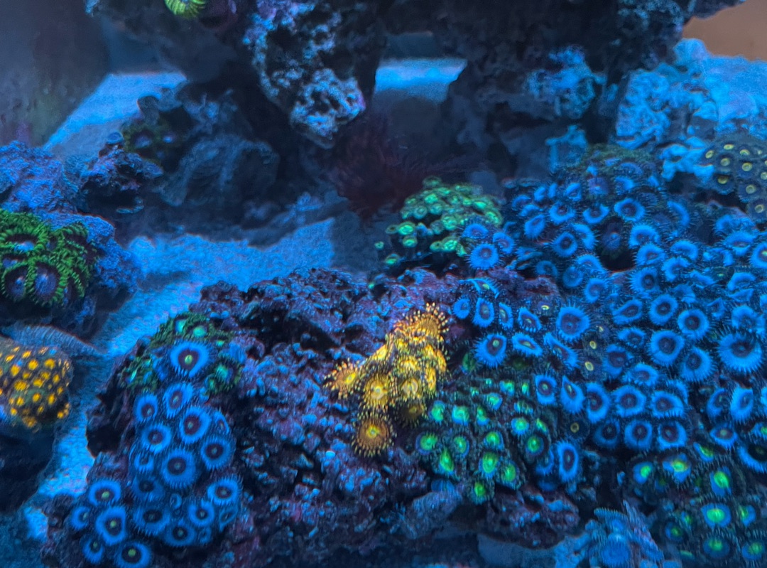 Tank Image