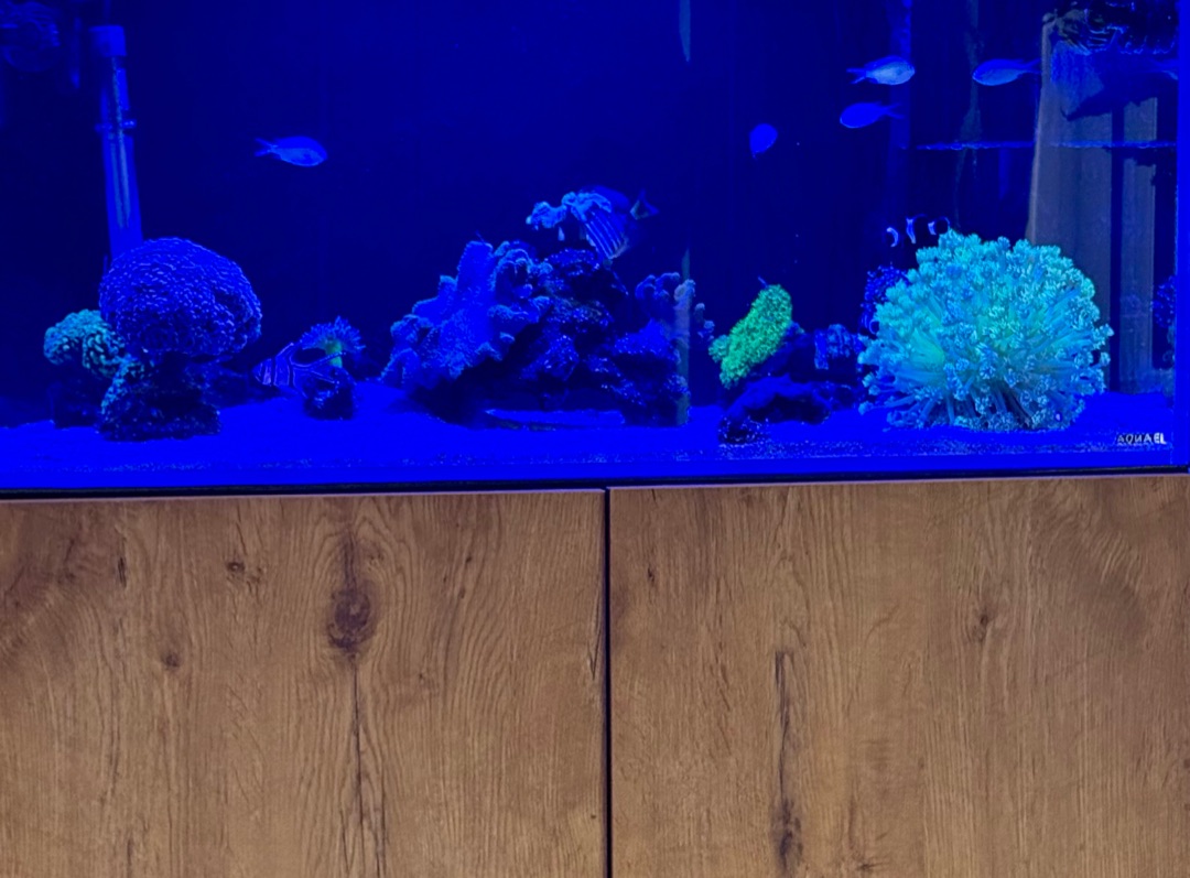 Tank Image