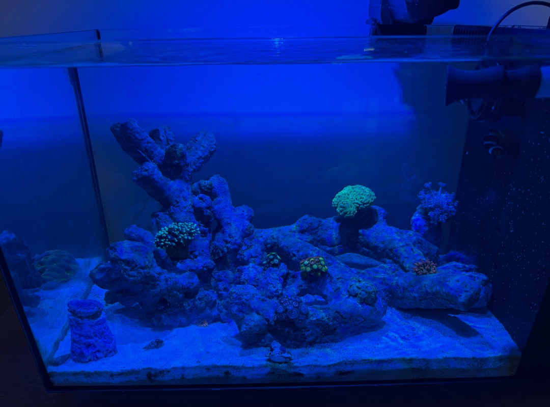 Tank Image