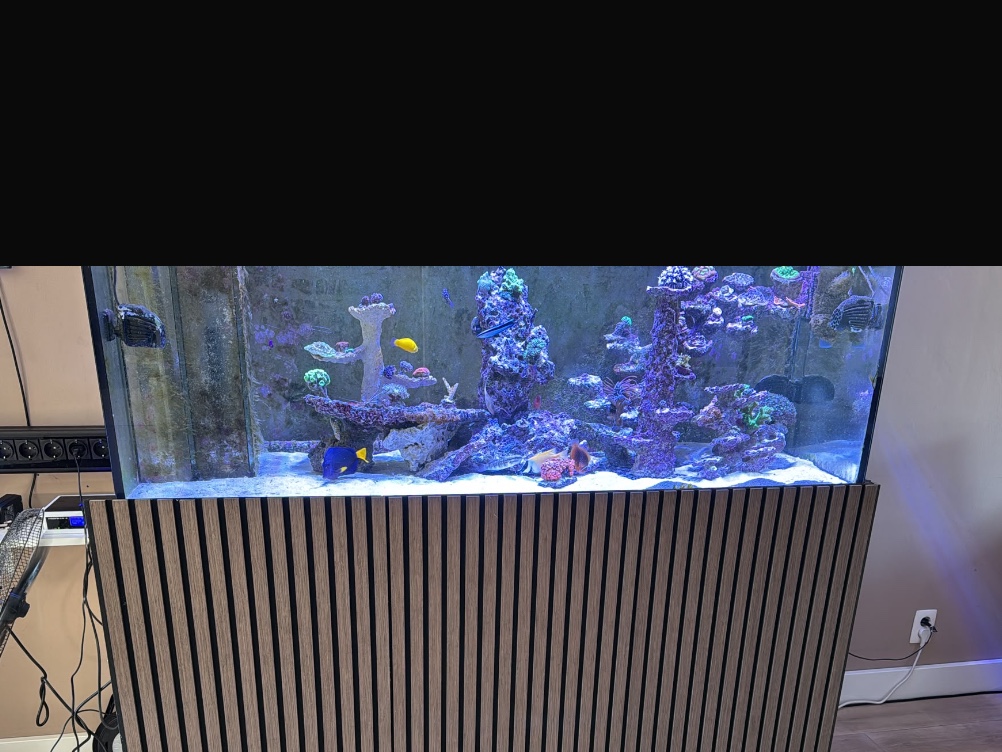 Tank Image