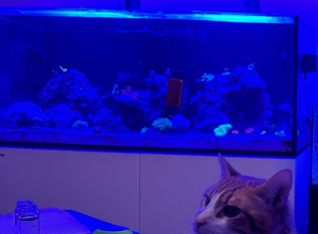 Tank Image