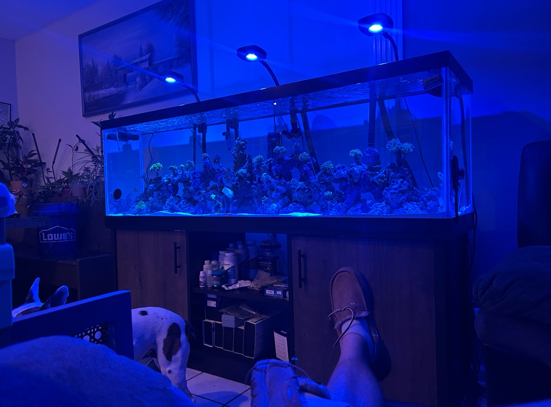 Tank Image