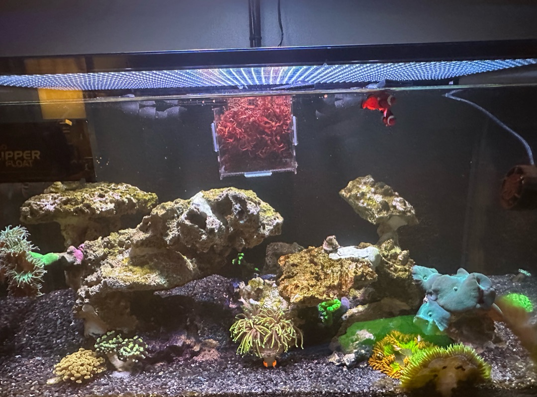 Tank Image