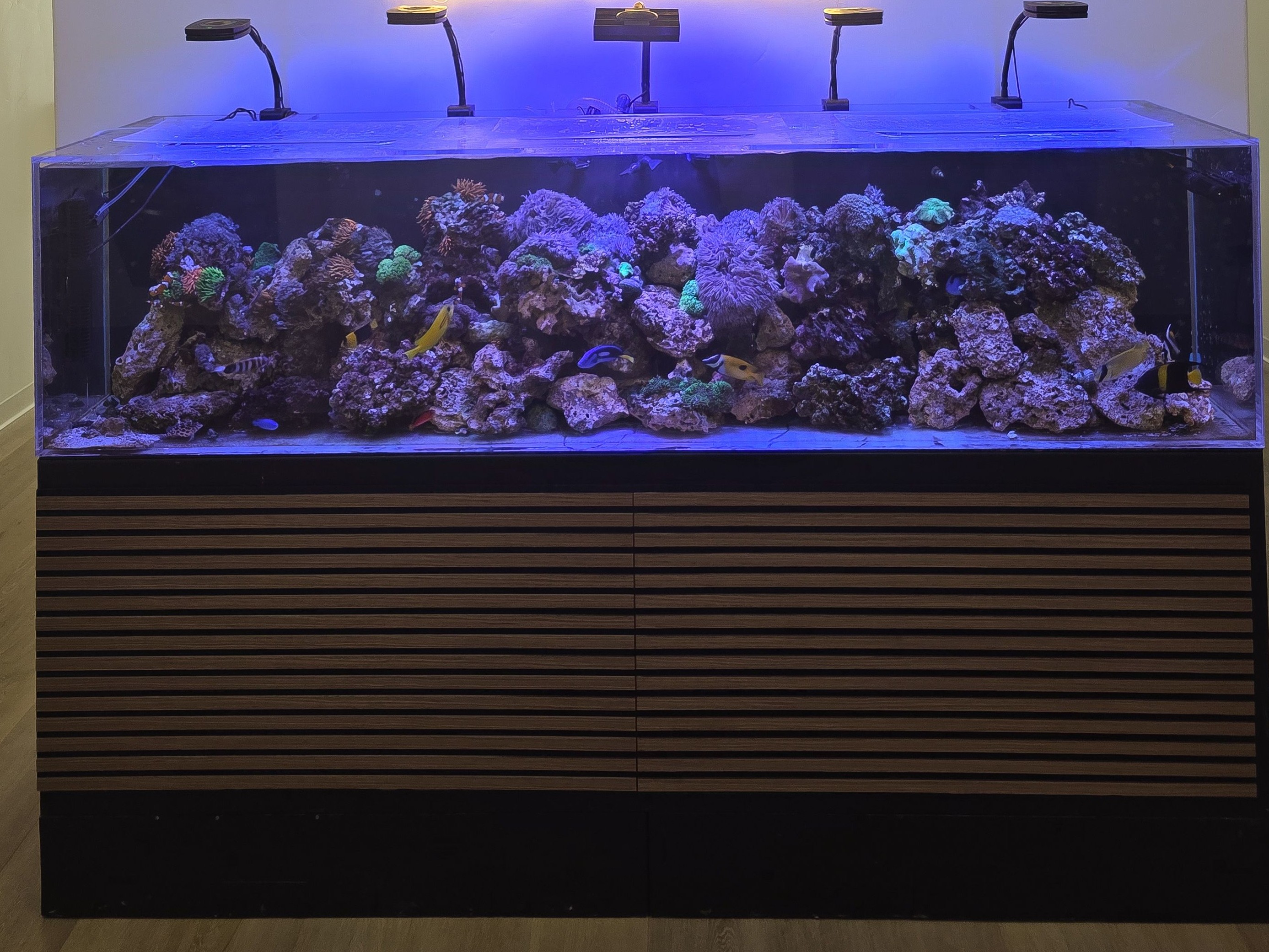 Tank Image