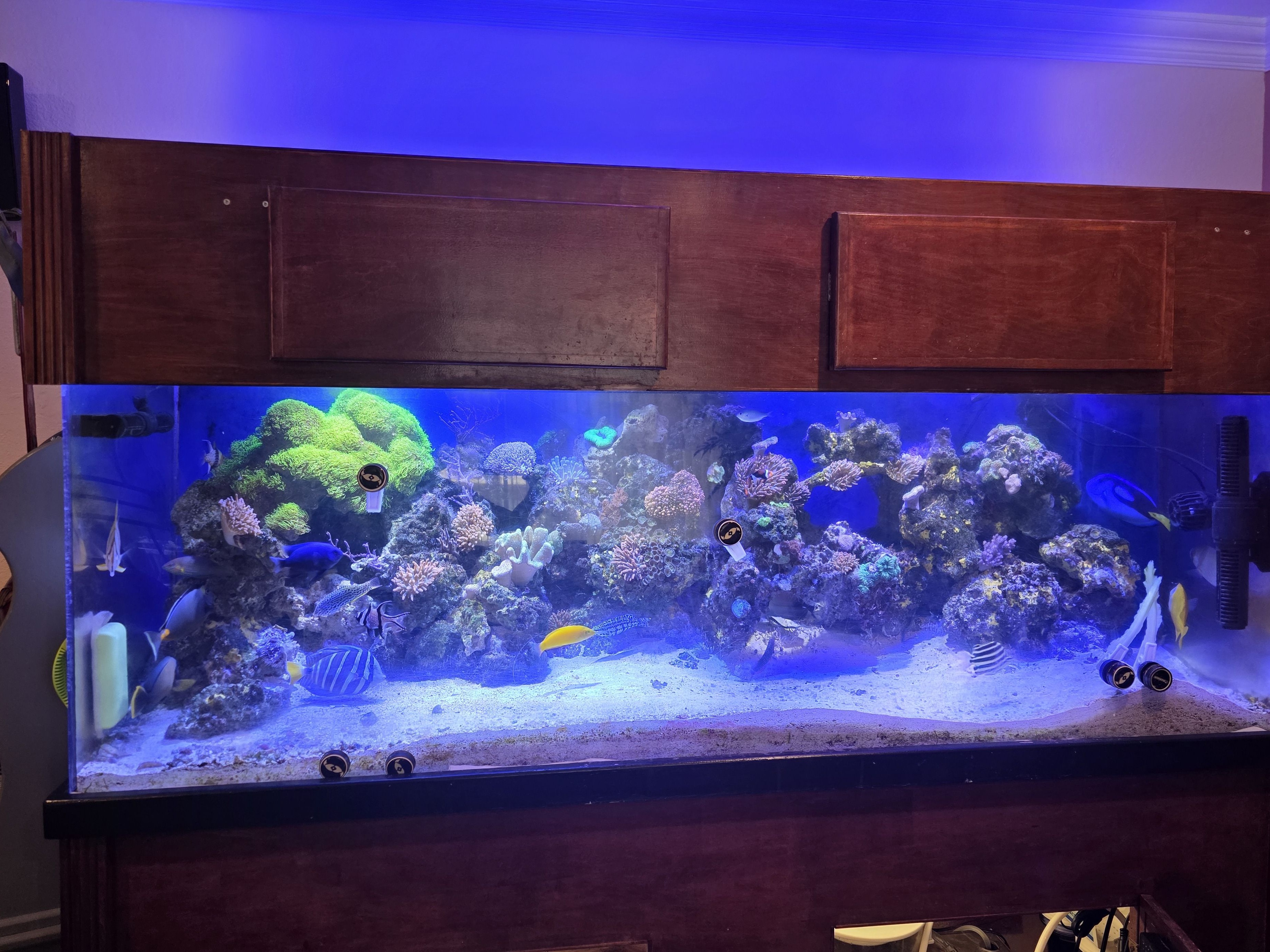 Tank Image