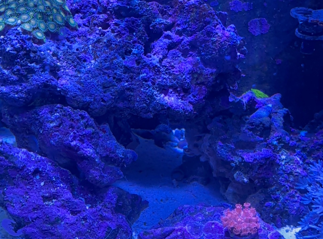 Tank Image