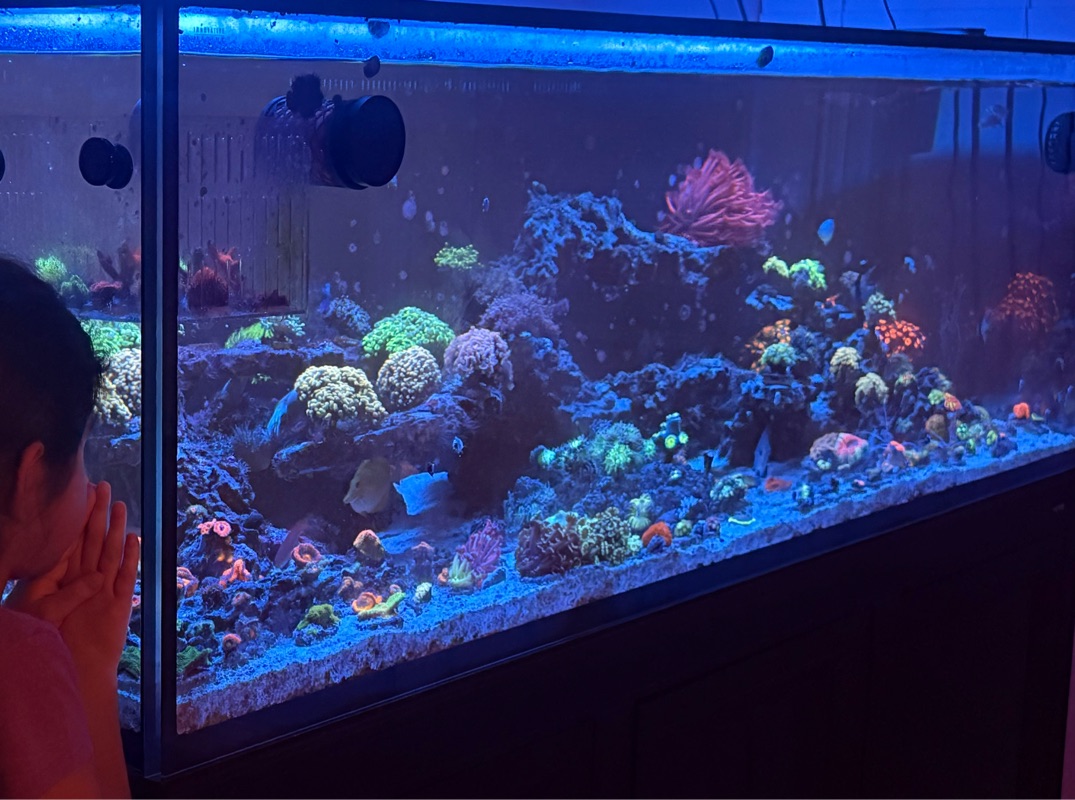 Tank Image