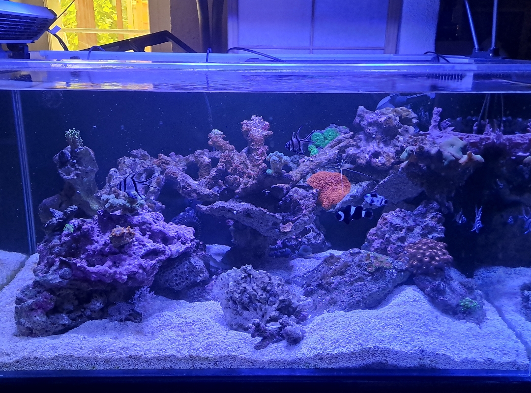 Tank Image