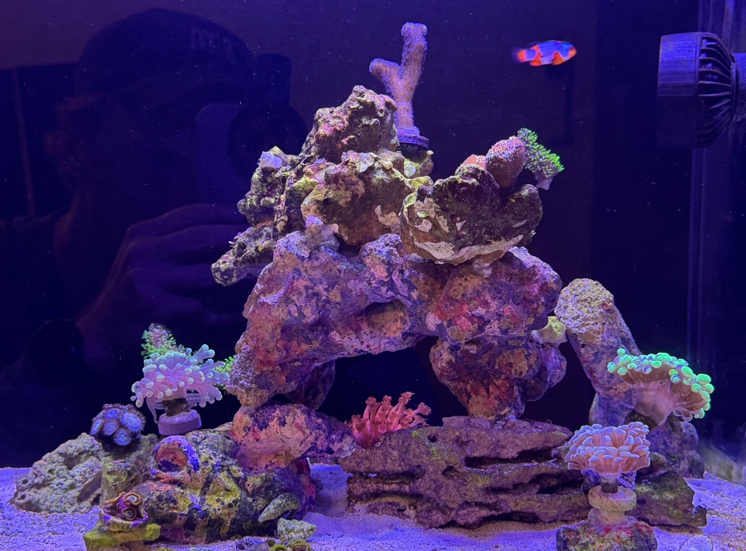 Tank Image