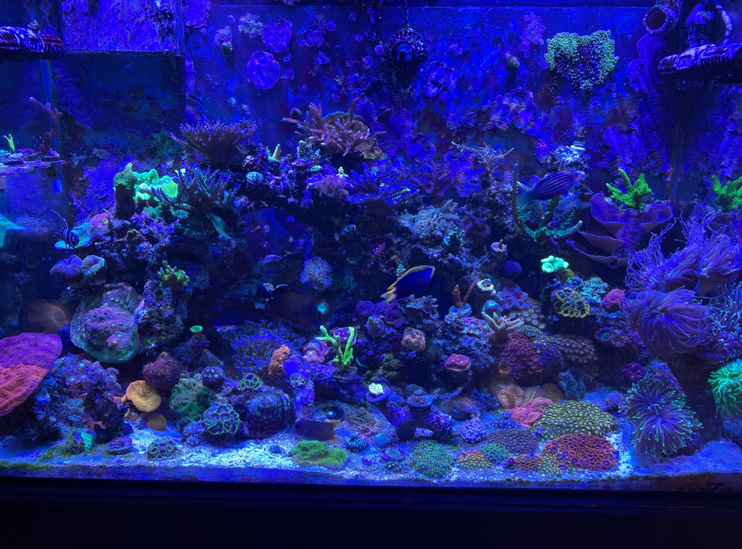 Tank Image