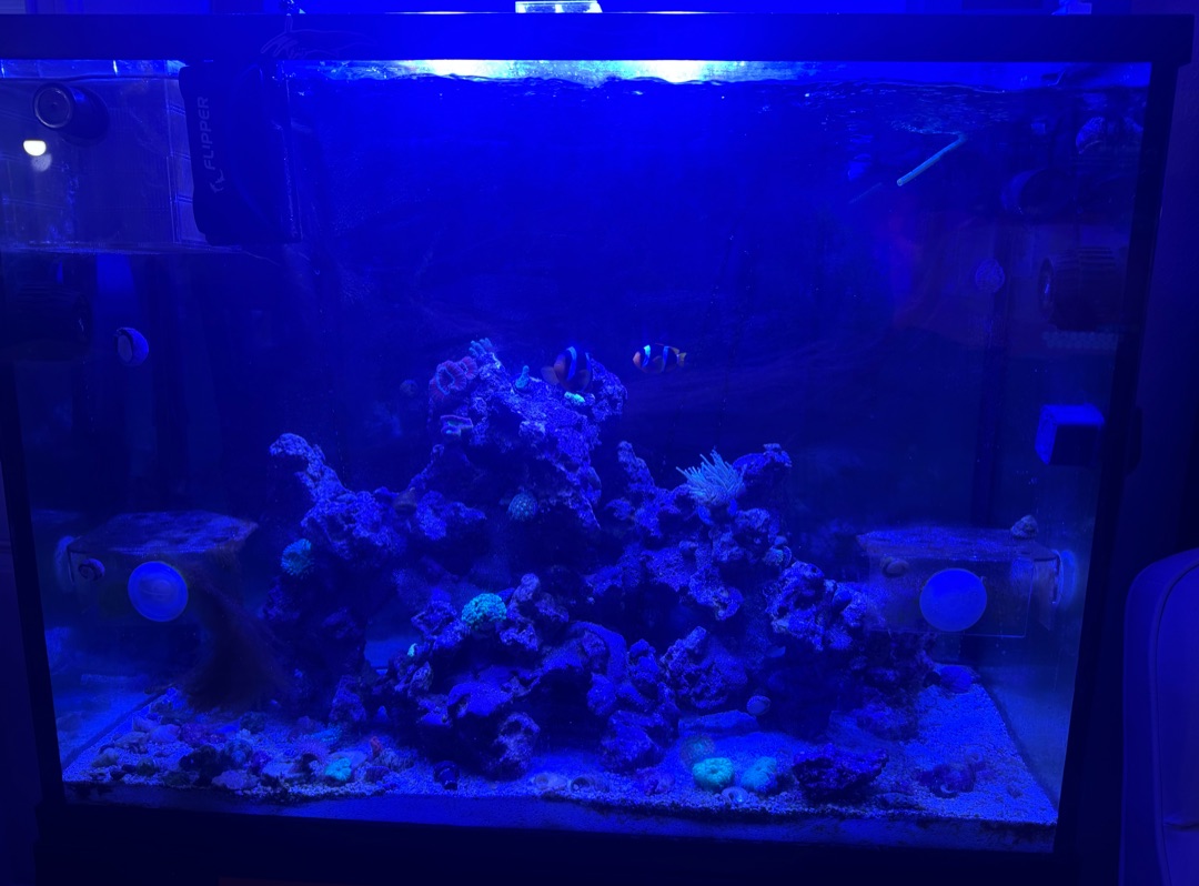 Tank Image