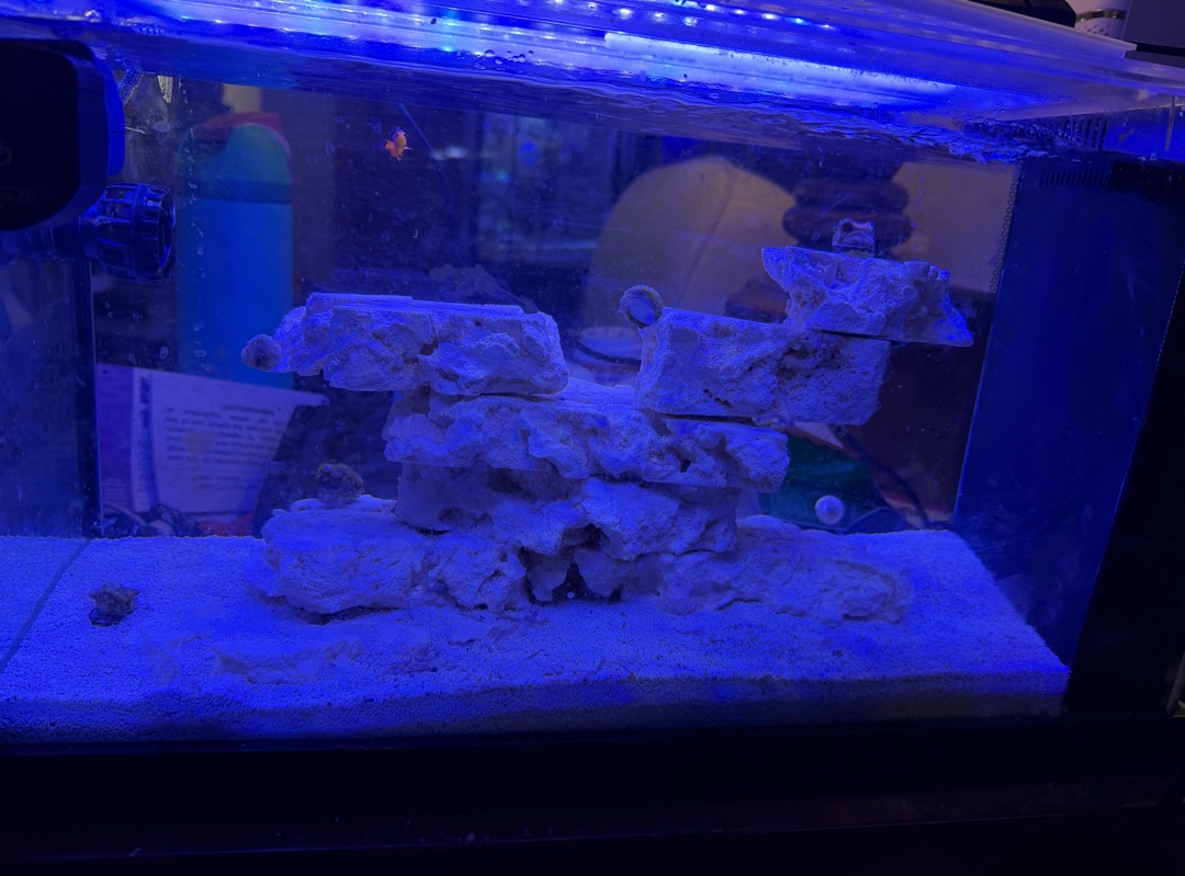 Tank Image
