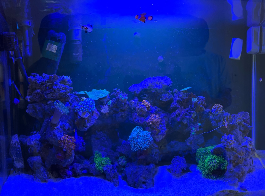 Tank Image