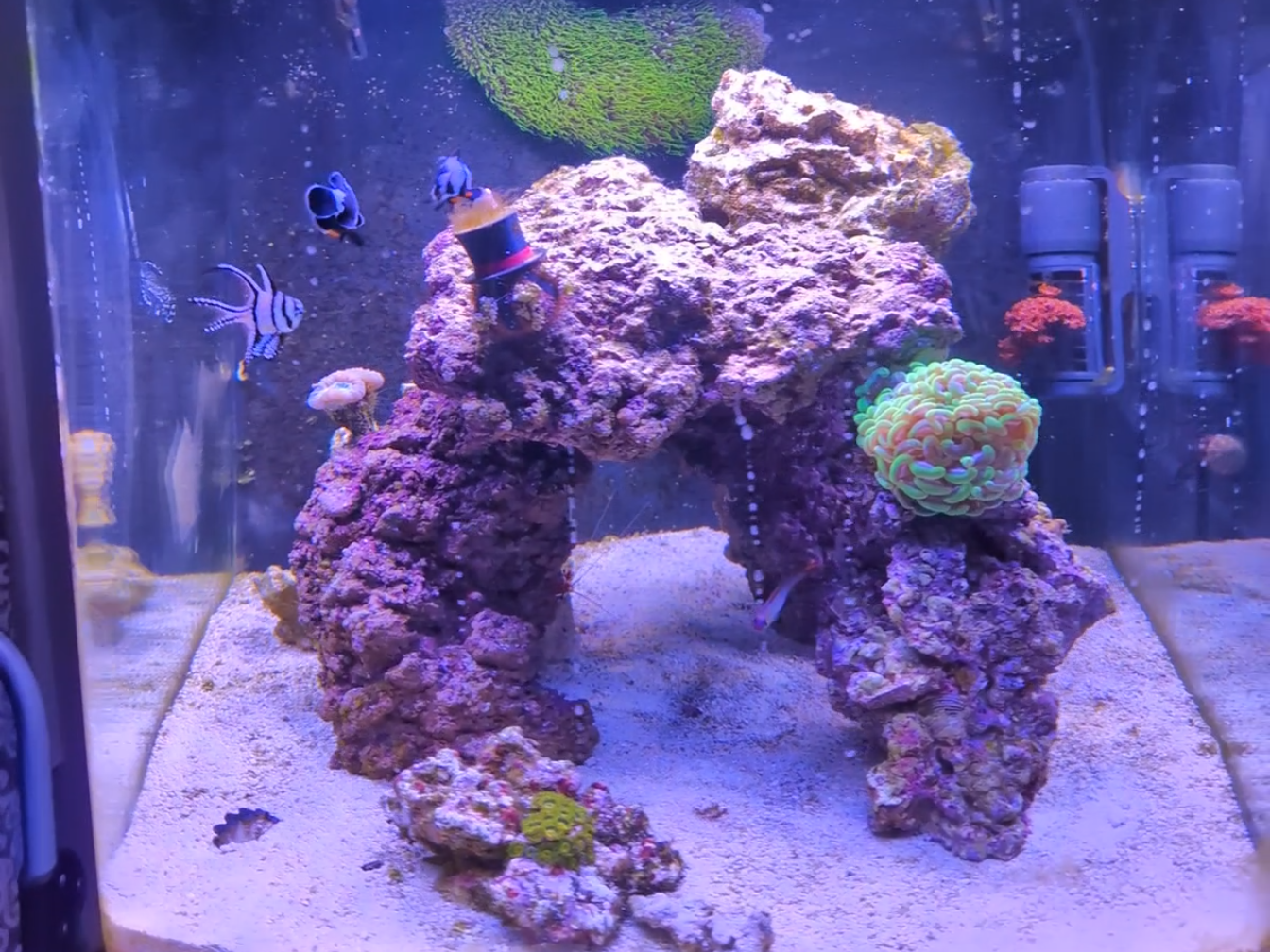 Tank Image