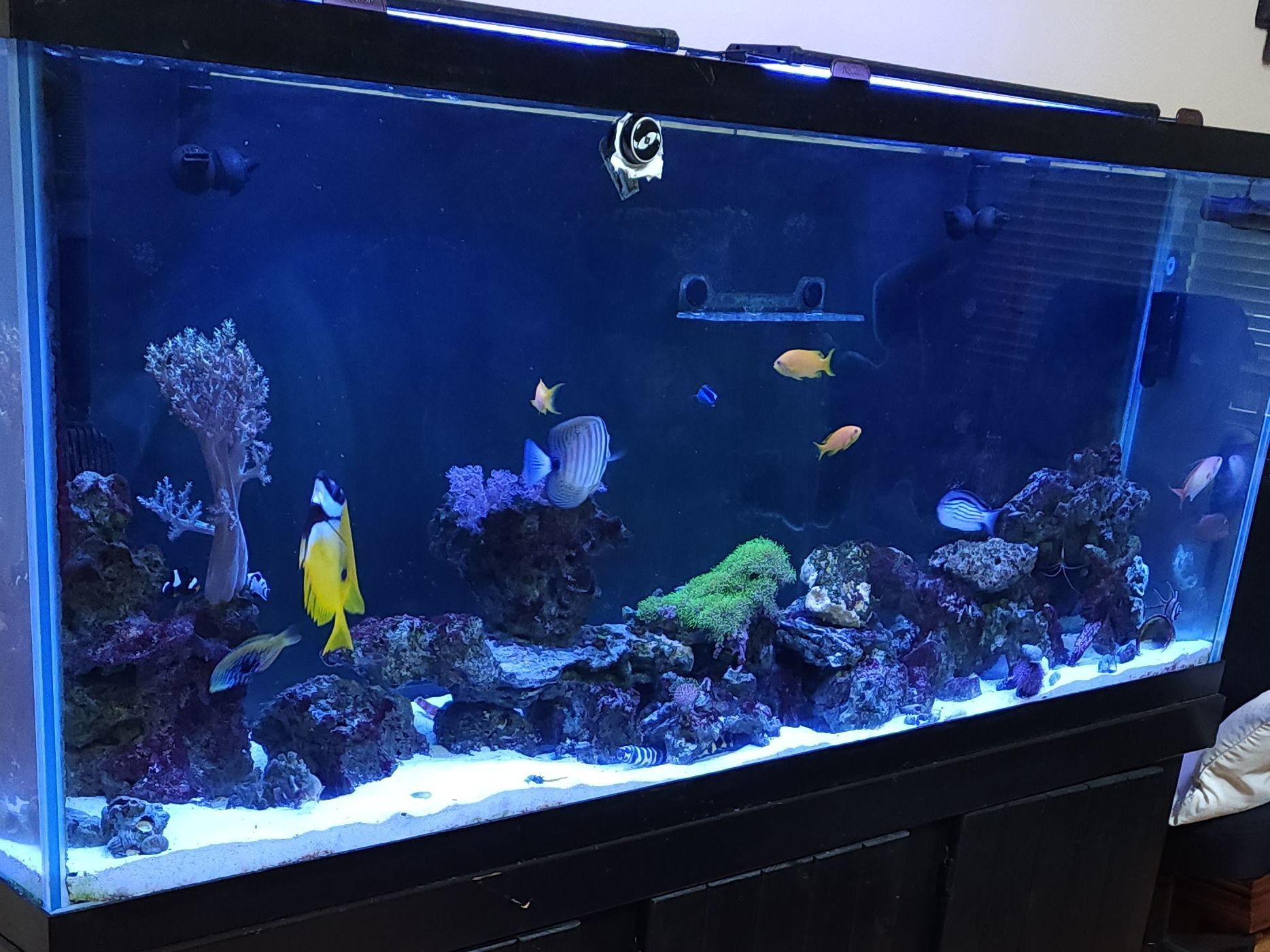 Tank Image
