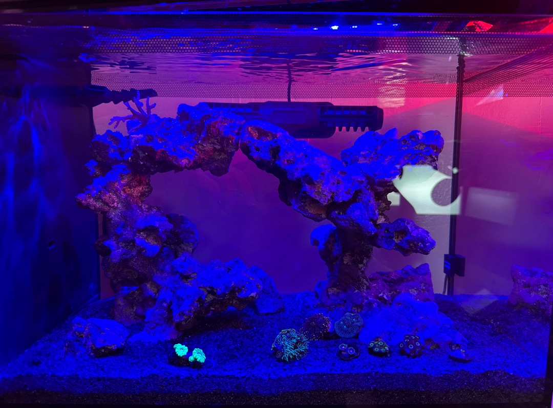 Tank Image