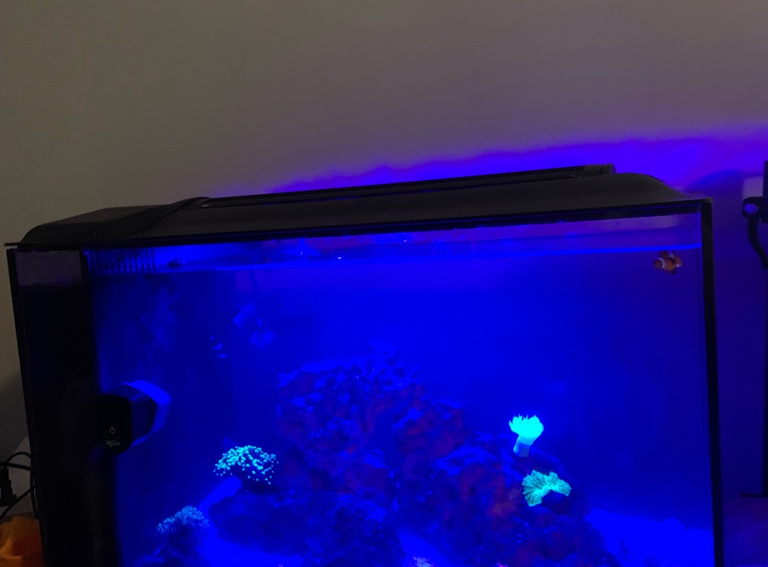 Tank Image