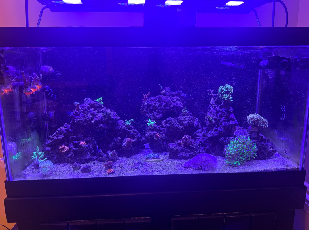 Tank Image