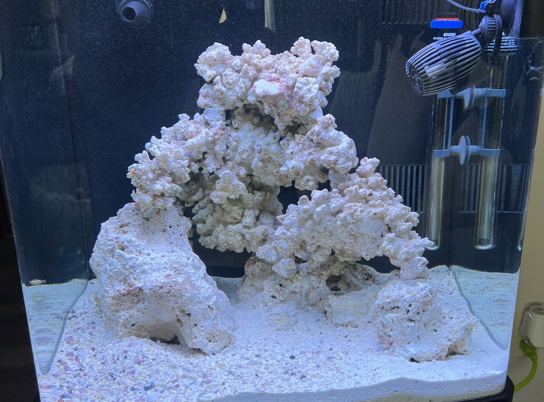 Tank Image
