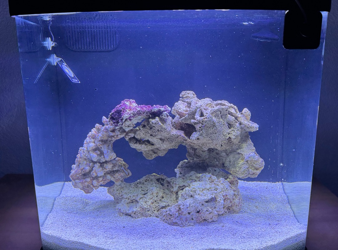 Tank Image