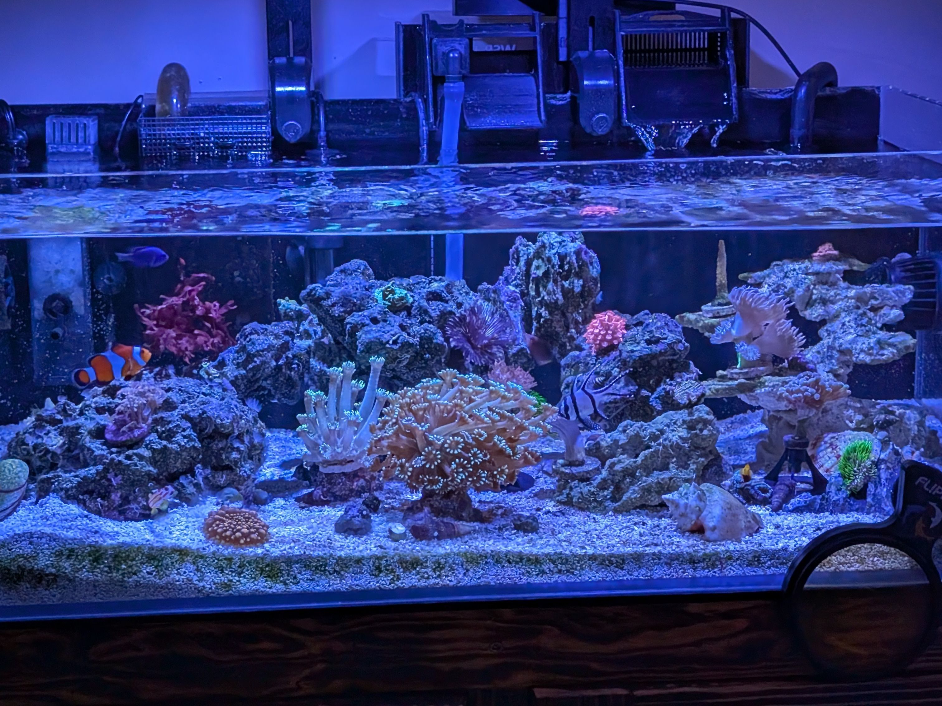 Tank Image