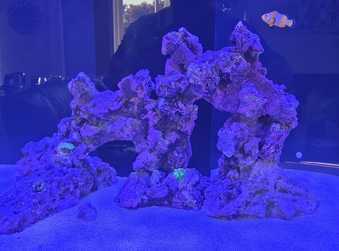 Tank Image