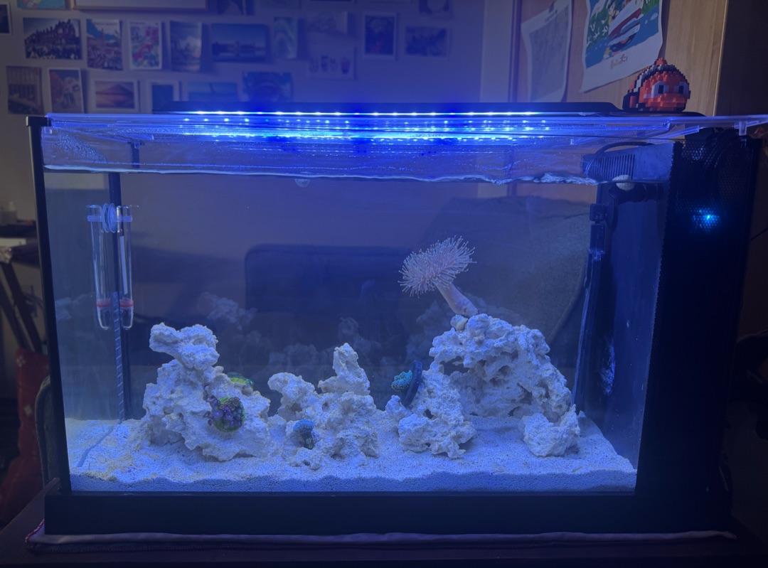 Tank Image