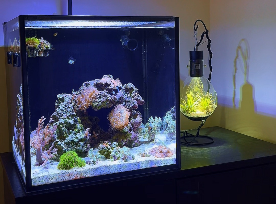 Tank Image