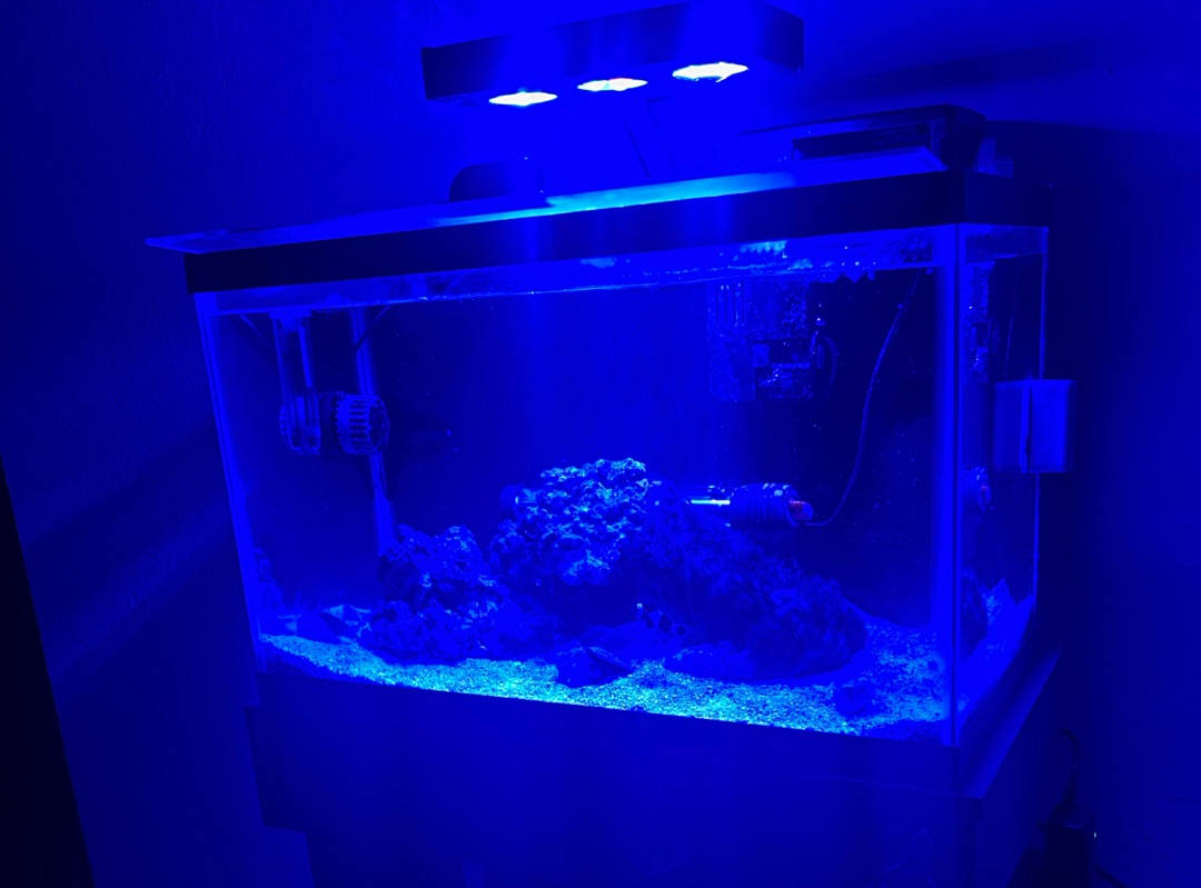Tank Image