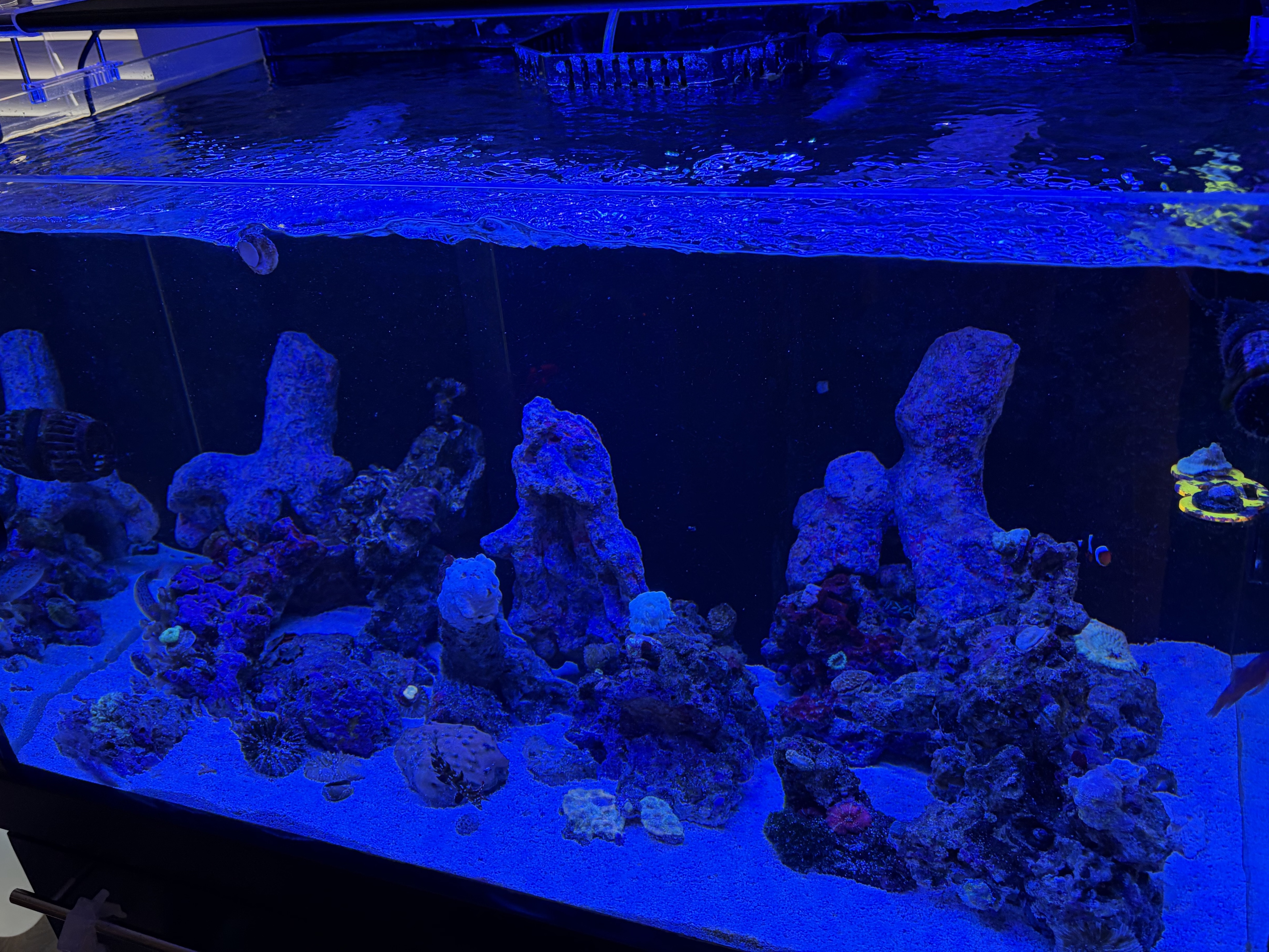 Tank Image