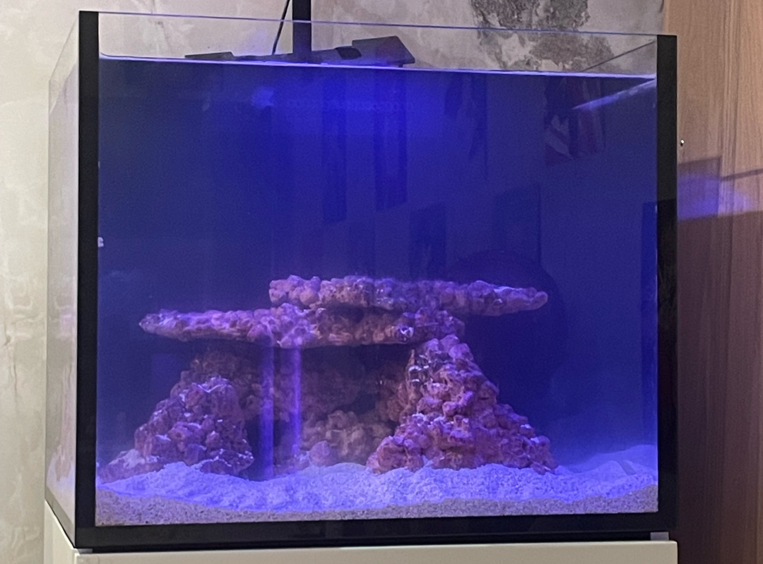 Tank Image