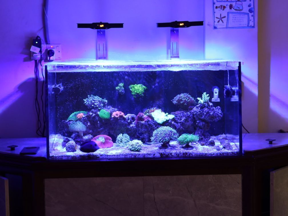 Tank Image