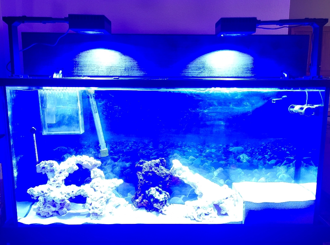 Tank Image