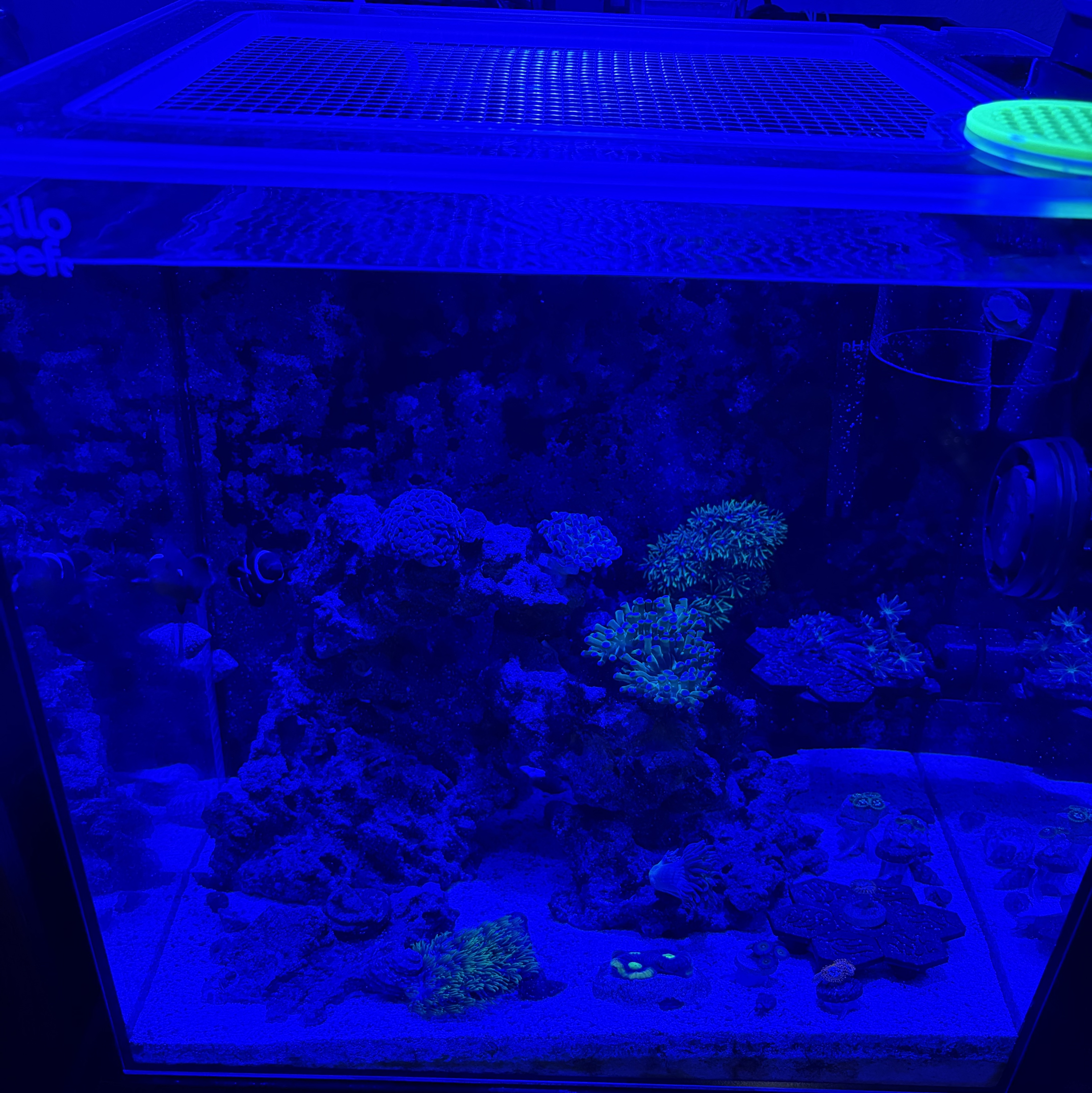 Tank Image