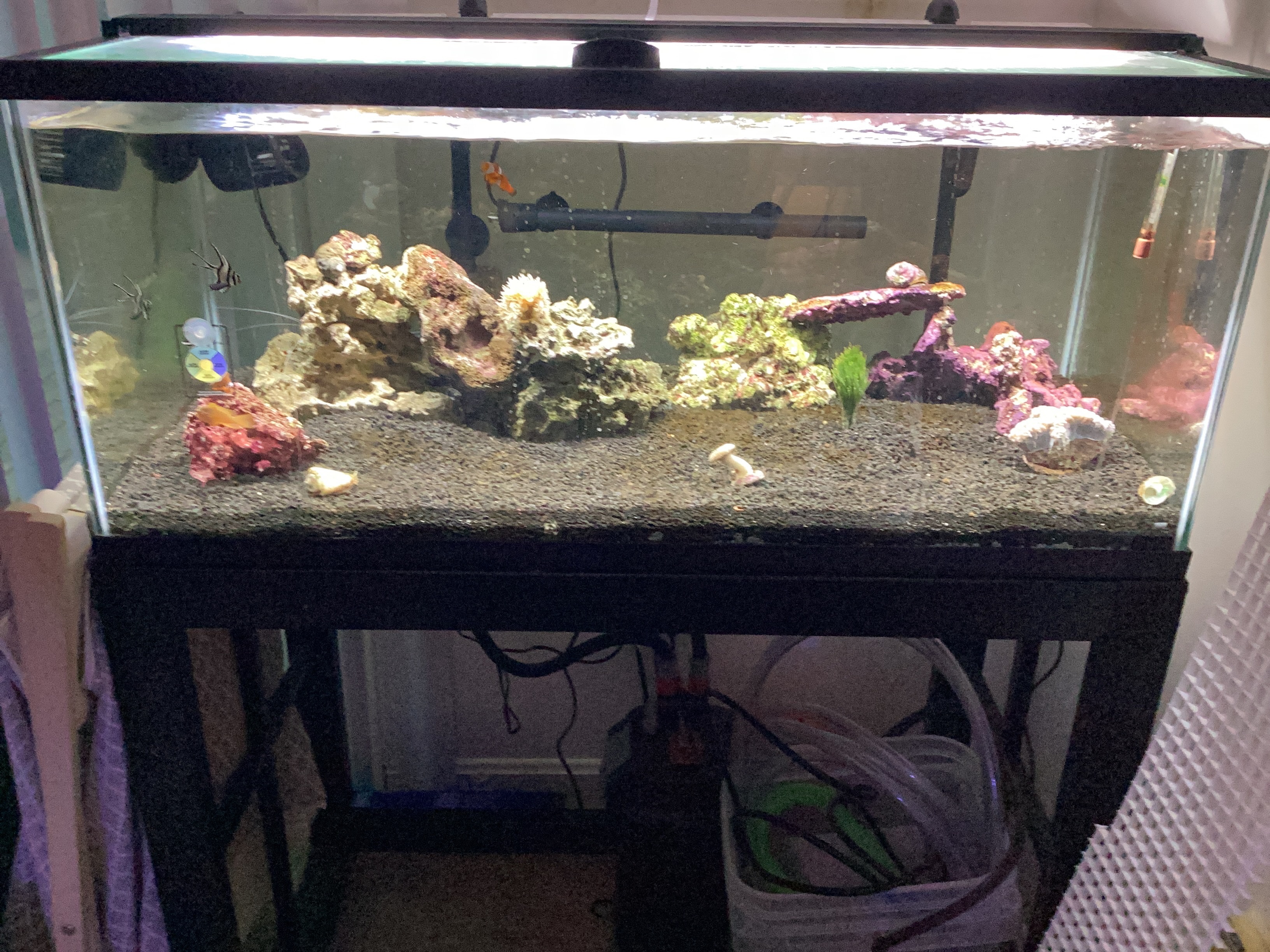 Tank Image