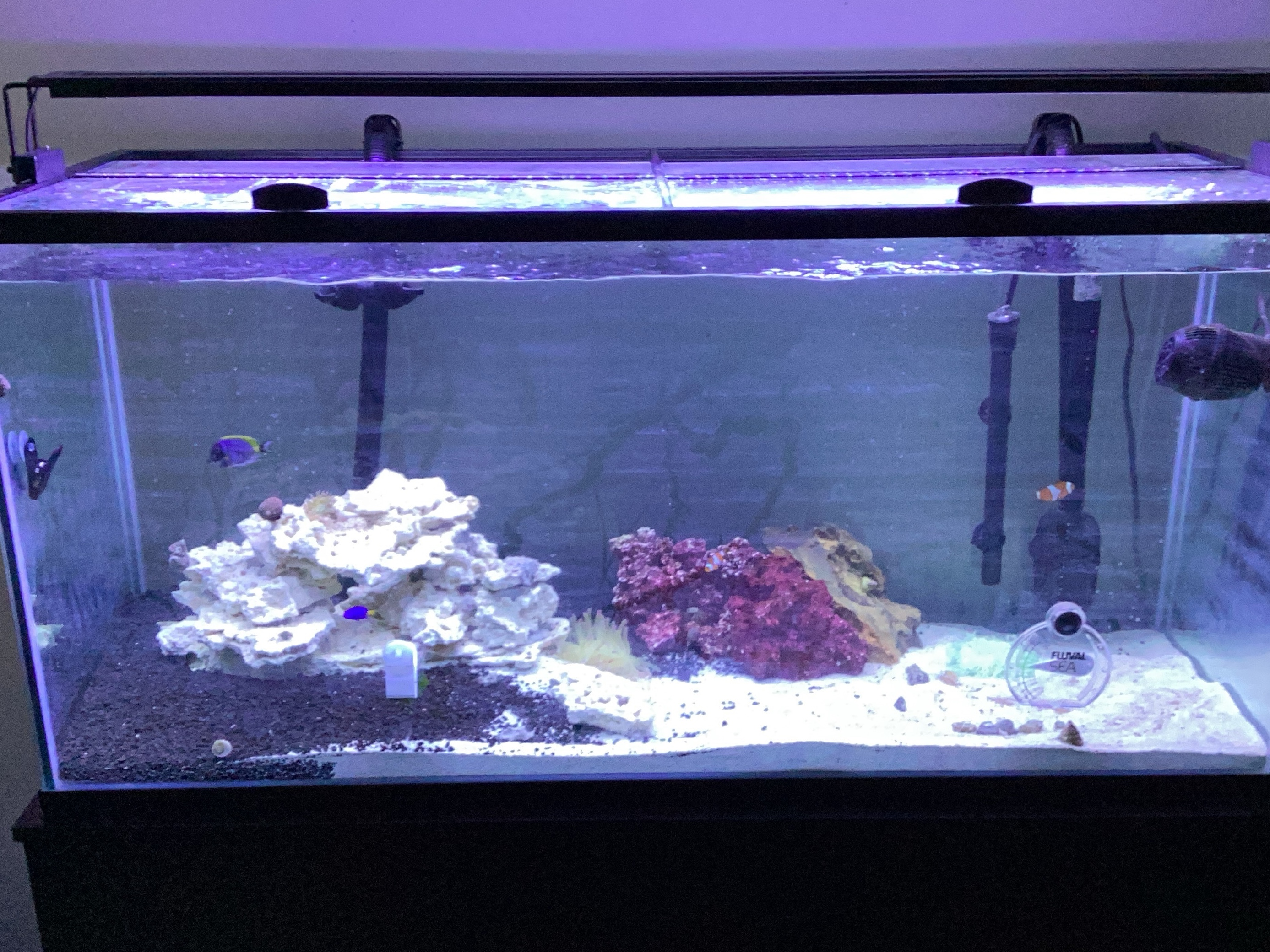 Tank Image