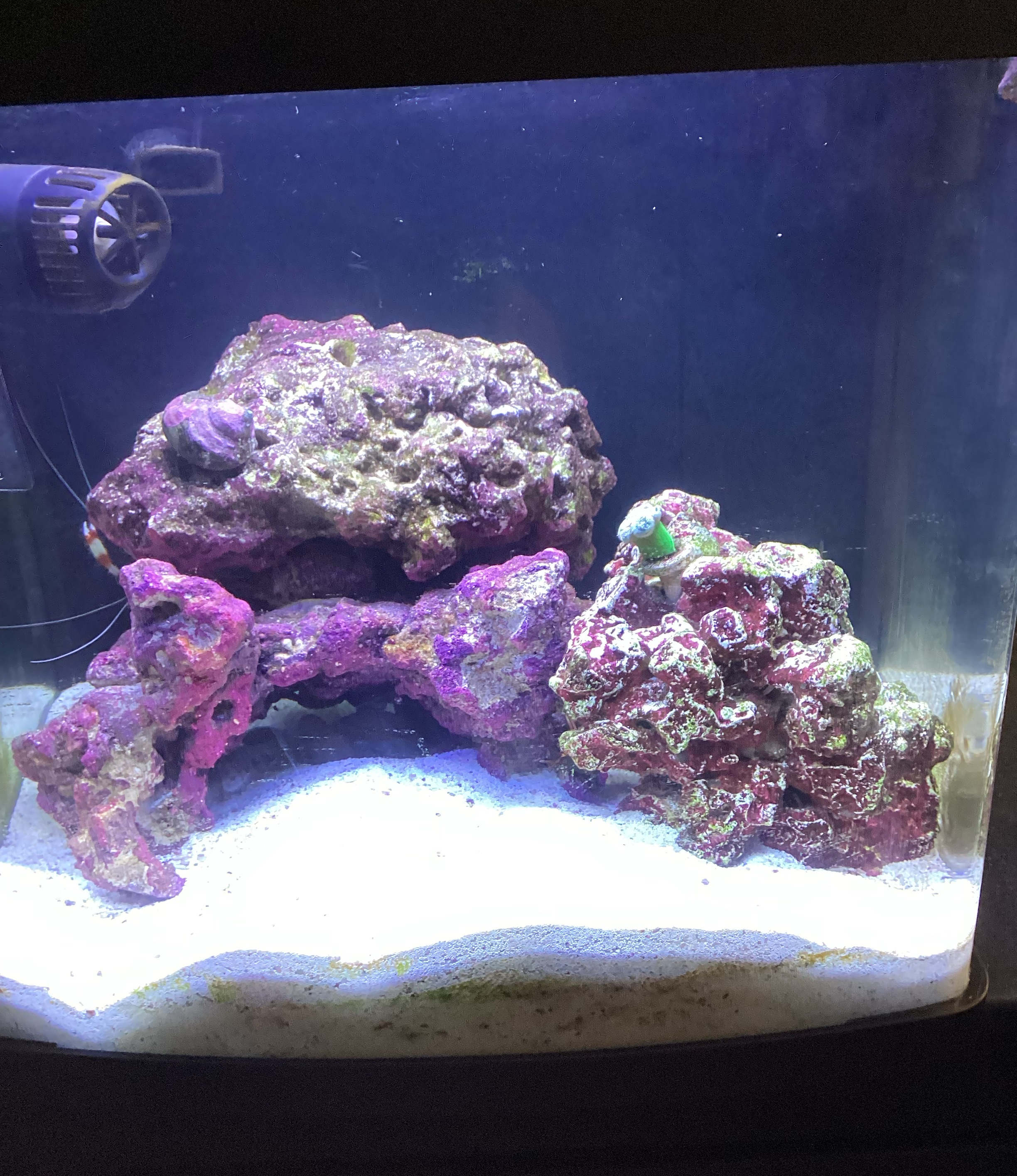 Tank Image