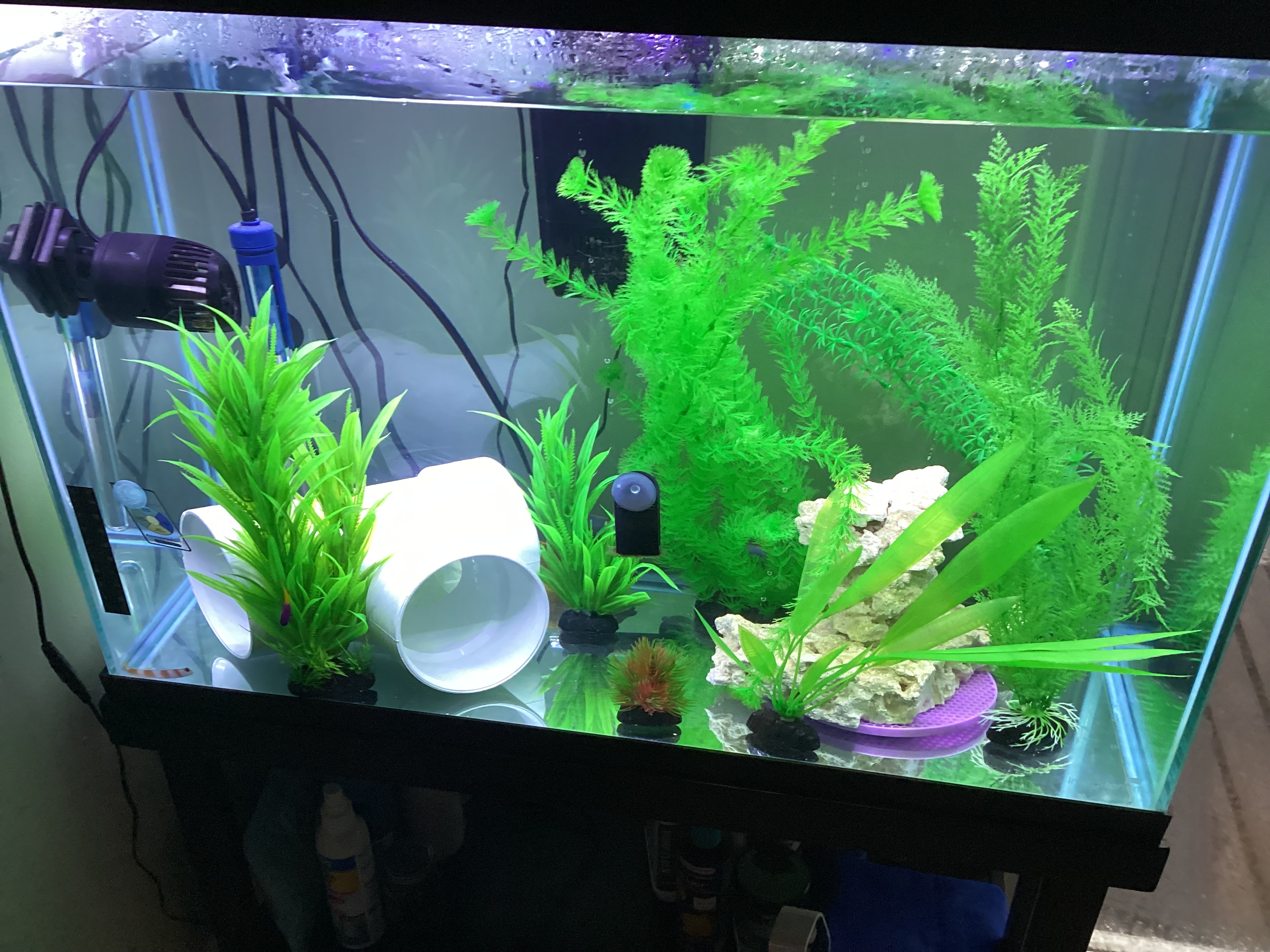 Tank Image