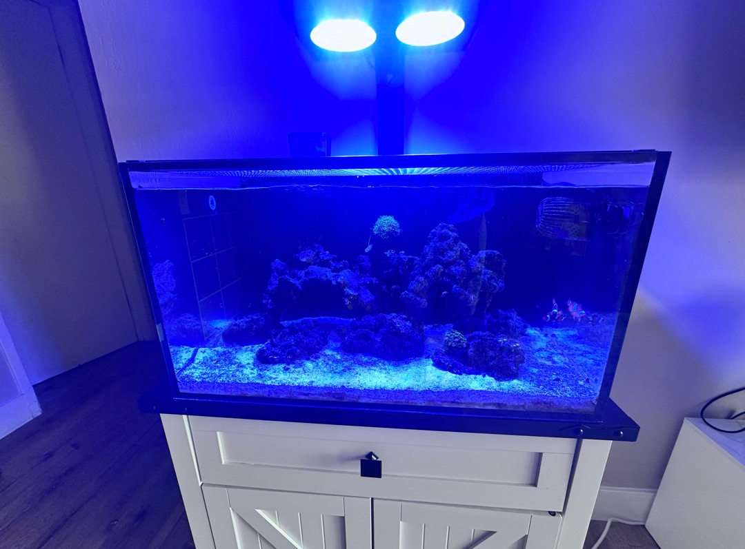 Tank Image