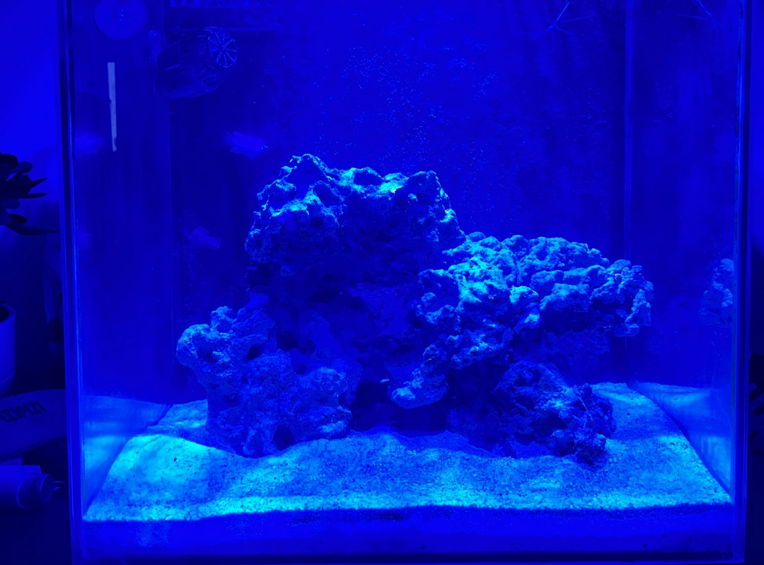 Tank Image