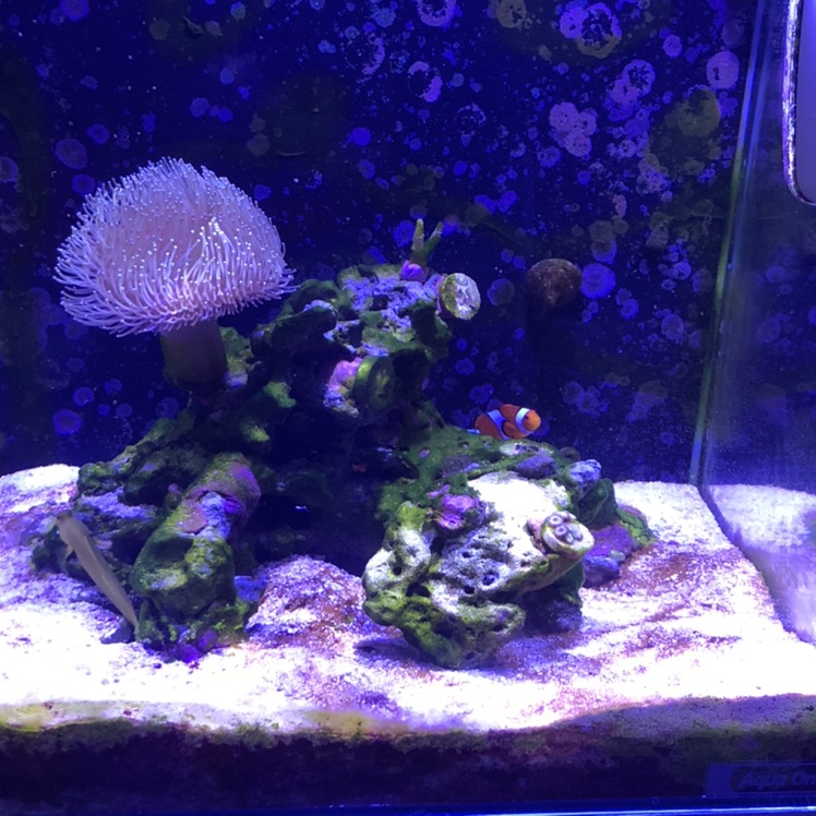 Tank Image