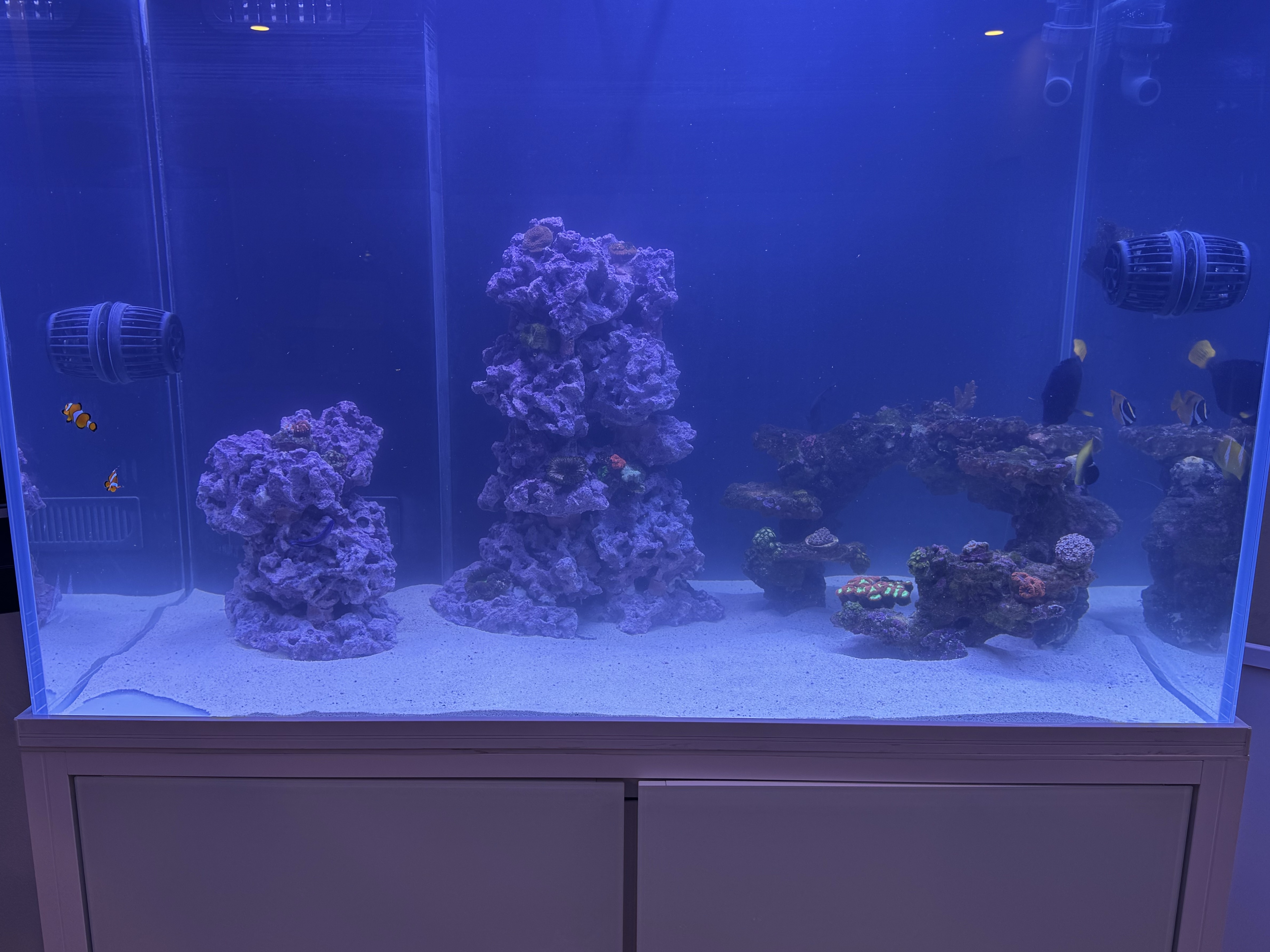 Tank Image