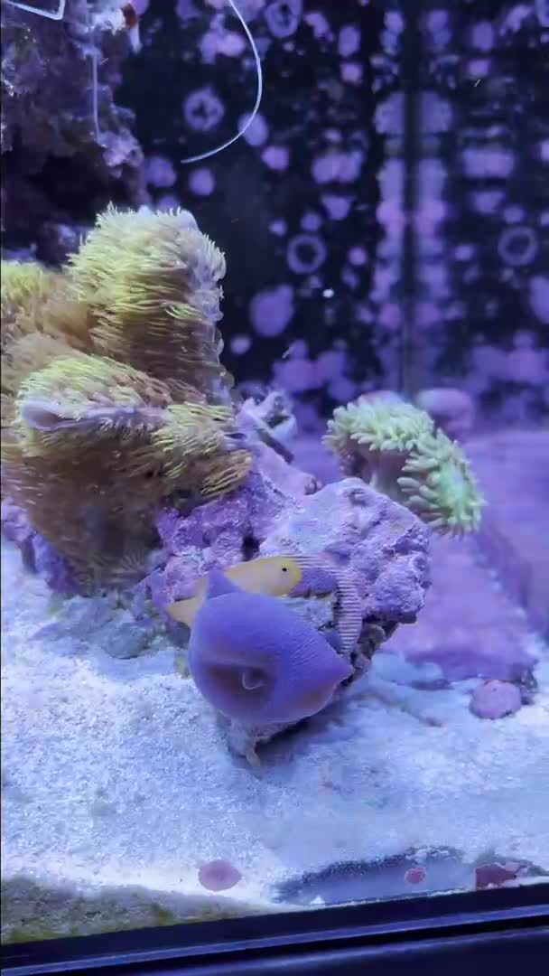 ReefBay post