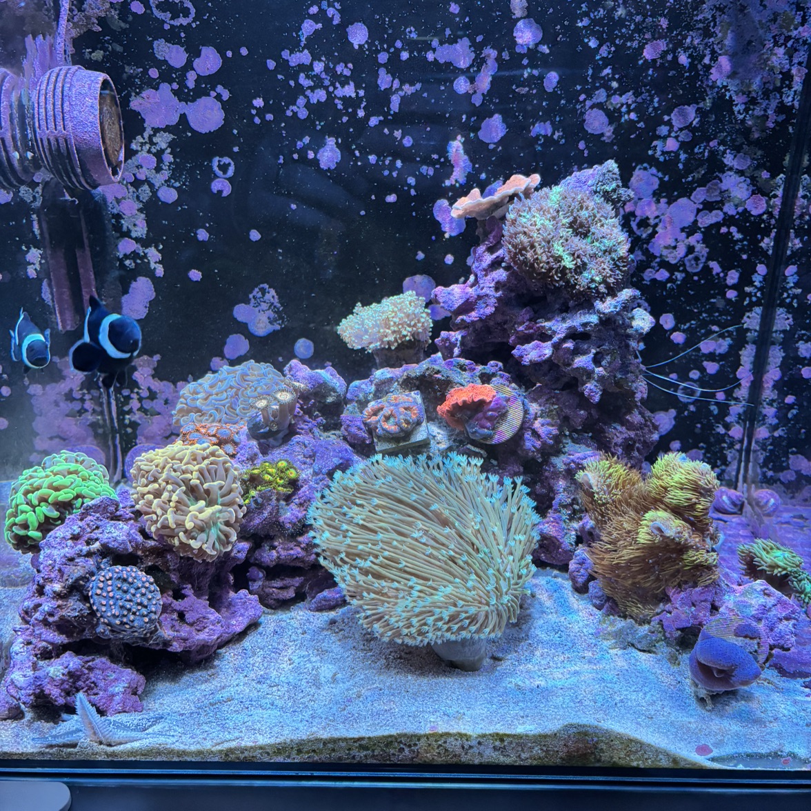 Tank Image
