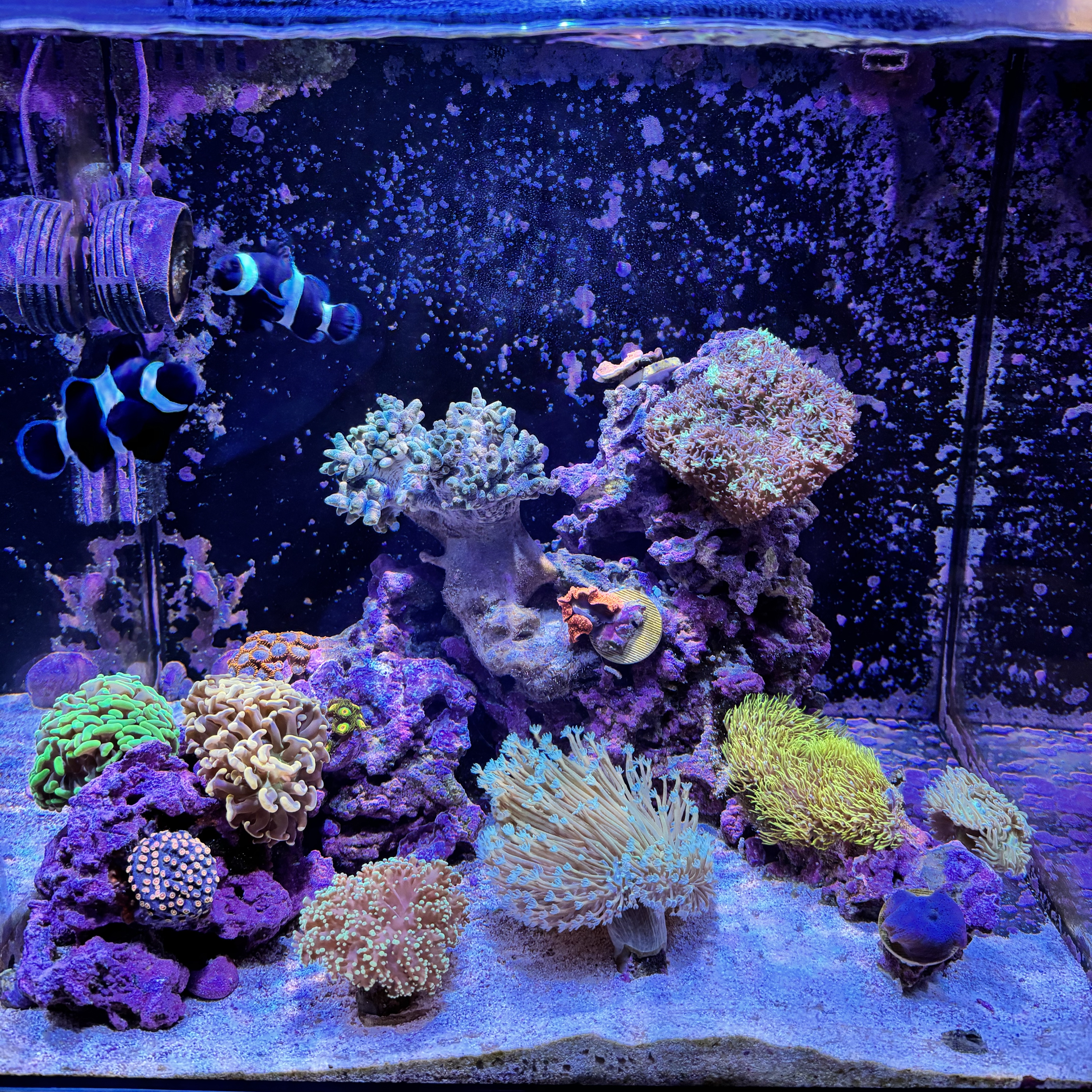 Tank Image