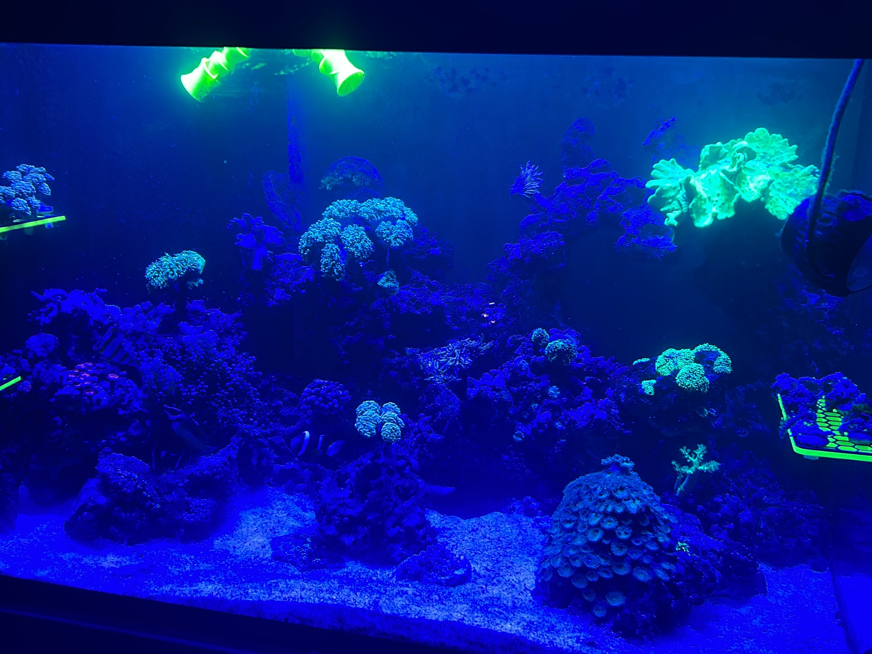 Tank Image