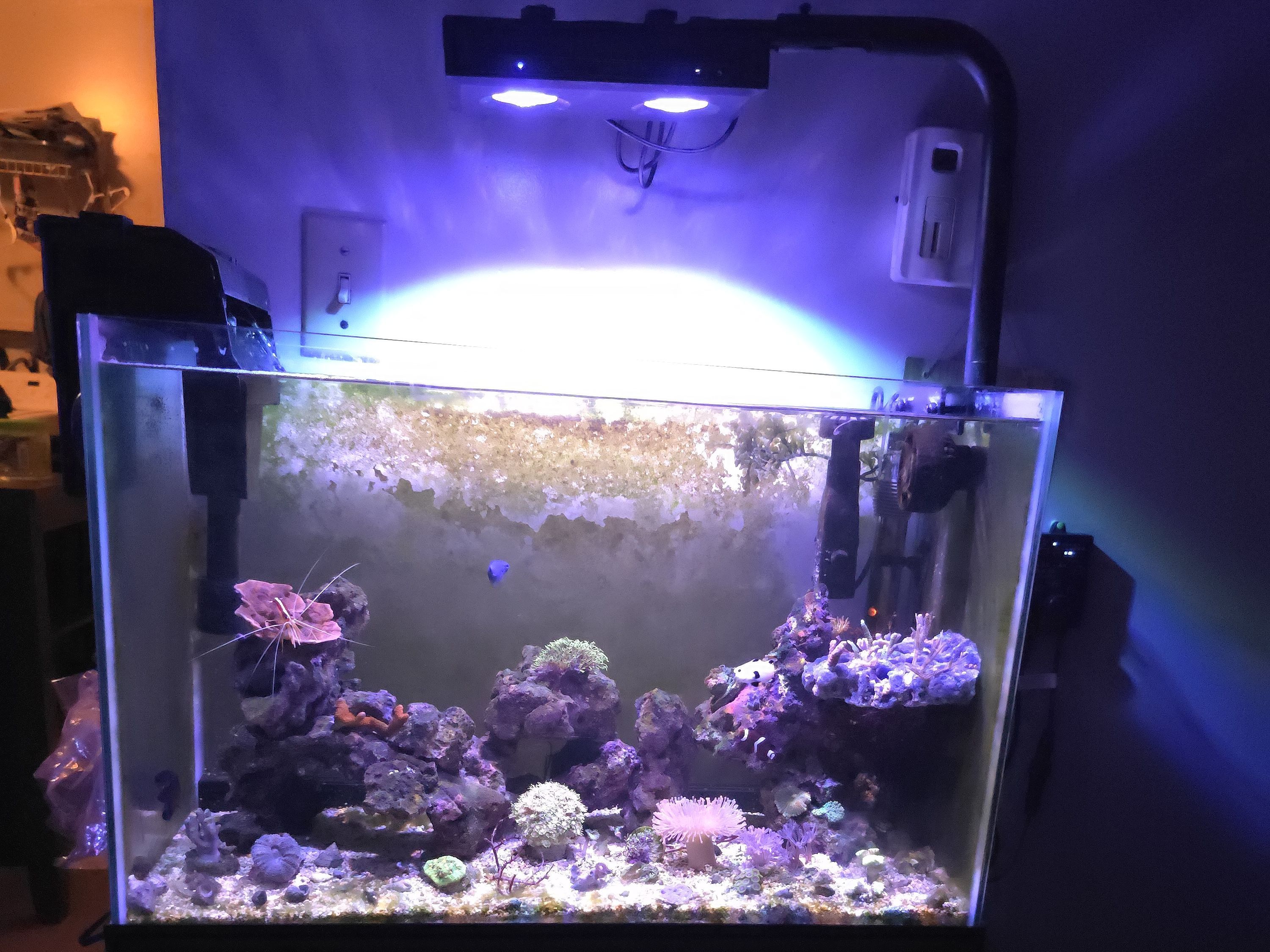 Tank Image