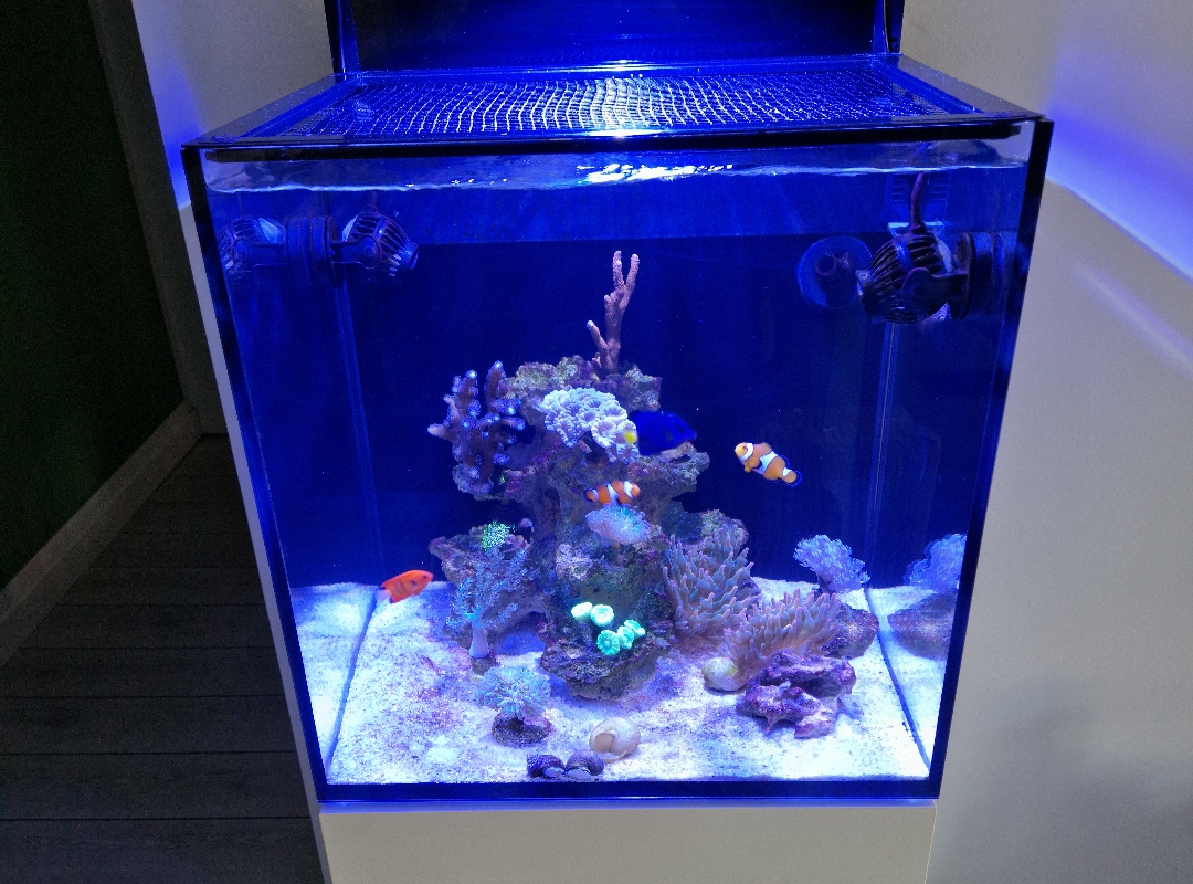 Tank Image
