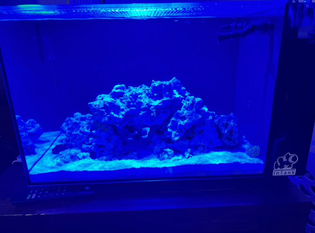 Tank Image